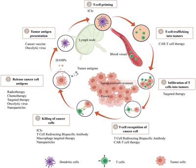 Overcoming cold tumors: a combination strategy of immune checkpoint inhibitors